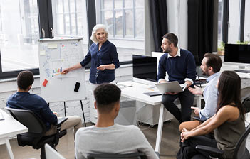 mentoring system
