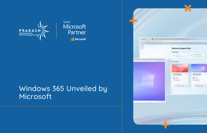 window 365