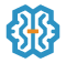 Custom AI Solutions