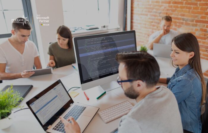 software development consulting